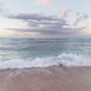 Meet your Posher, Lemon